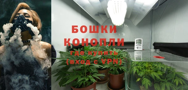 ALPHA-PVP Вяземский