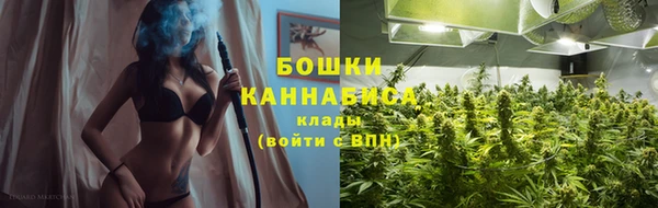 ALPHA-PVP Вяземский