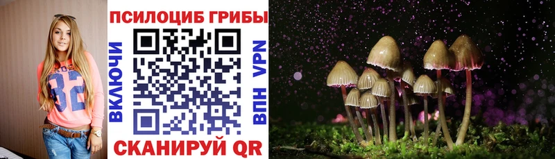 Купить закладки  Красный Кут  Галлюциногенные грибы Psilocybe 