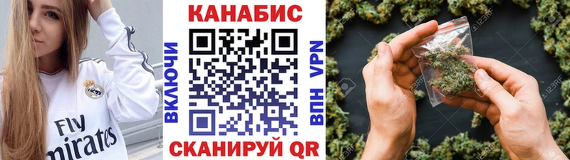 Бошки Шишки гибрид Красный Кут